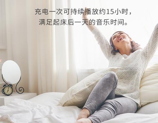 潘多拉移动电源（体验无忧充电，潘多拉移动电源让你畅享无尽能量）