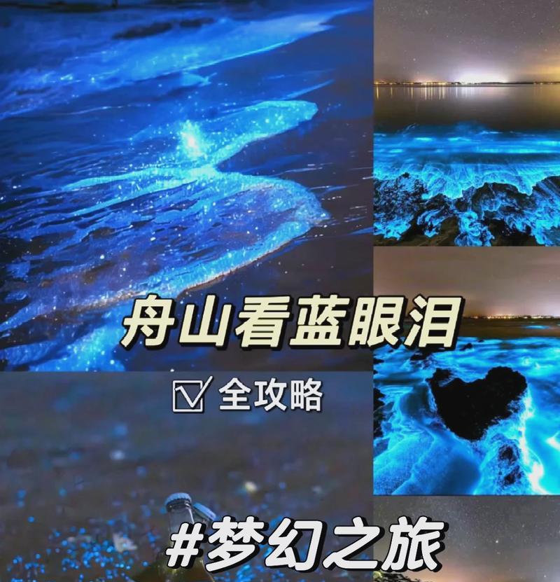 华兰仕键盘（华兰仕键盘如何成为用户首选之一）