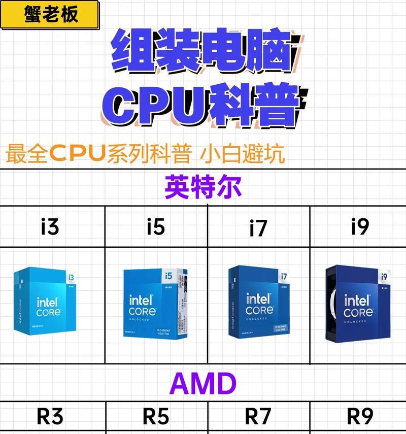 名龙堂5555的优势与特色（揭秘名龙堂5555的成功之道）