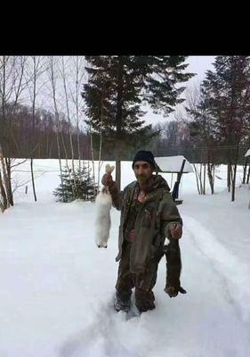 八只小猪的故事（探索大自然的奇妙旅程）