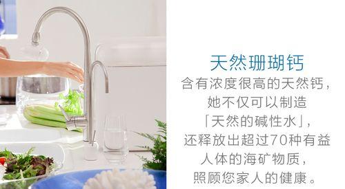 大满净水如何保障您的家庭饮水安全？（以大满净水为例，了解家用净水器的优势和功能）