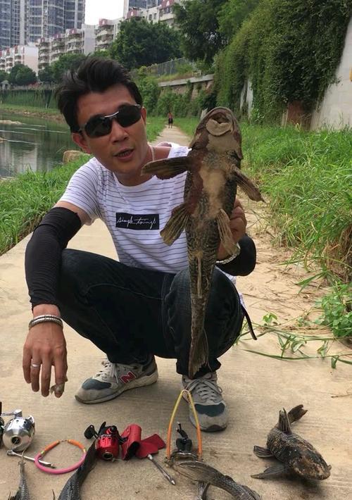 保护生物多样性（探讨生态平衡和人类干预之间的挑战与解决方法）