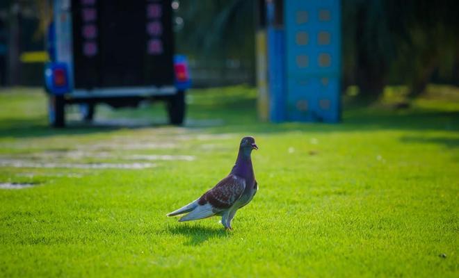 尼康24-120镜头的功能和性能评测（全能变焦镜头，适合广泛摄影应用）