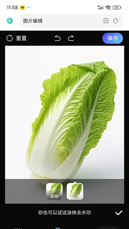 《健康美味，尽在大白菜5.2制作教程》（学习大白菜5.2的制作方法，轻松享受美食盛宴！）
