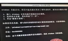 电脑屏幕更换出现错误，如何解决？（解决电脑屏幕更换中的常见问题与错误）
